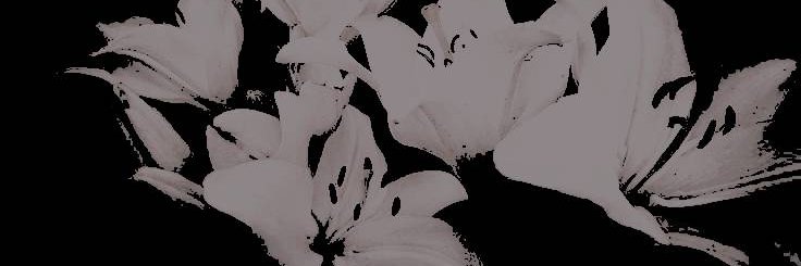 ‍ ‍‍ ⭑ ᅠ 𝓐͟𝙳𝙴𝙻𝙸𝙽𝙴 . banner