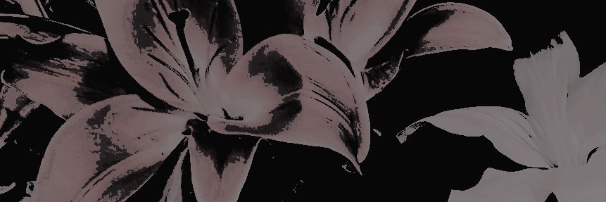 TCHAMPCOAST's profile banner image