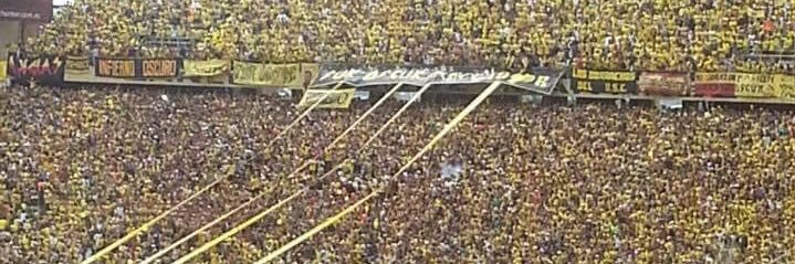 esteffmedina's profile banner image