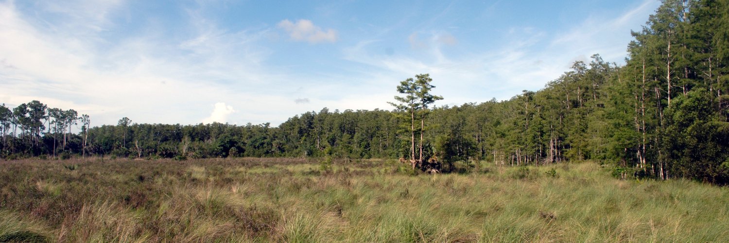 CorkscrewSwamp's profile banner image