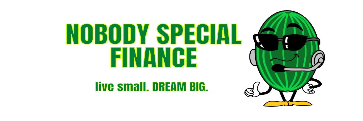 Nobody Special's banner