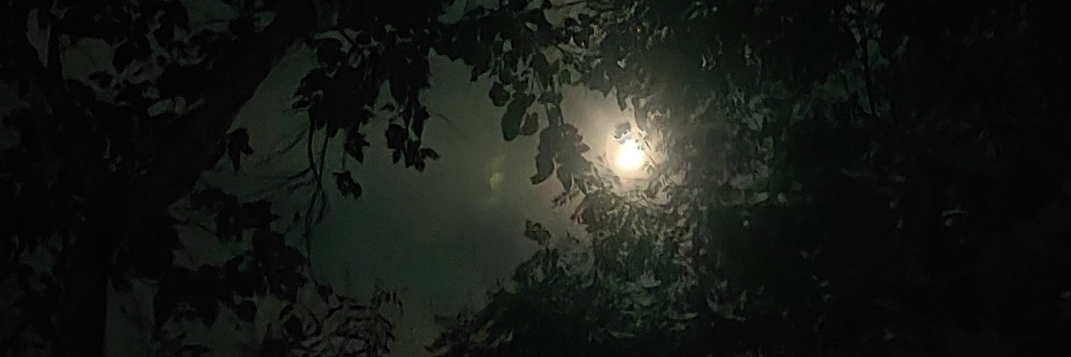 WTAT06's profile banner image