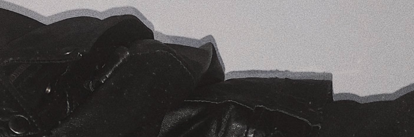 iidaemily's profile banner image