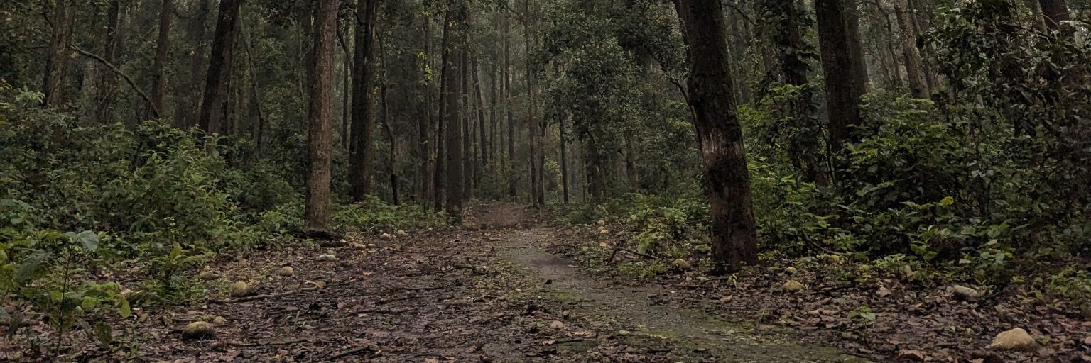 JustHereToWhy's profile banner image