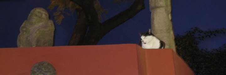 DisparatePanda banner