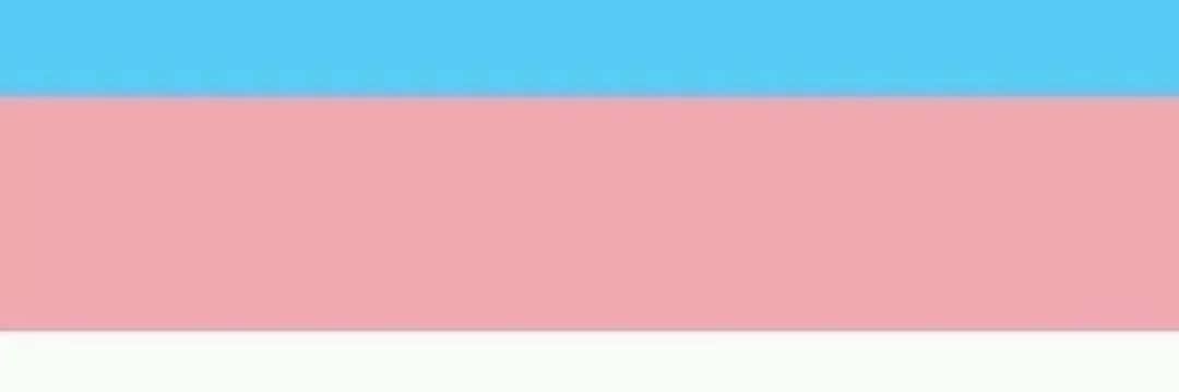 trans_betty's profile banner image