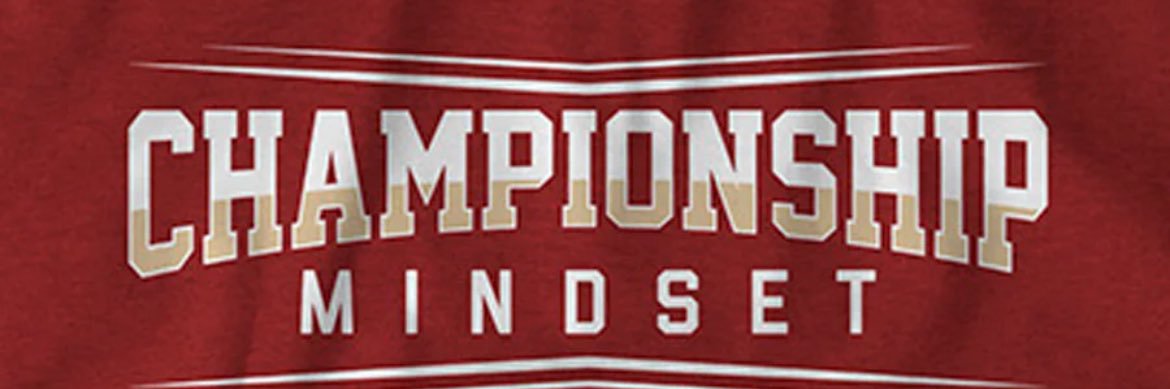pandassoftball's profile banner image