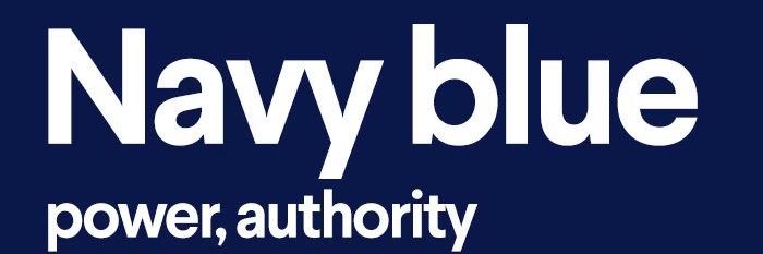 navy_ banner