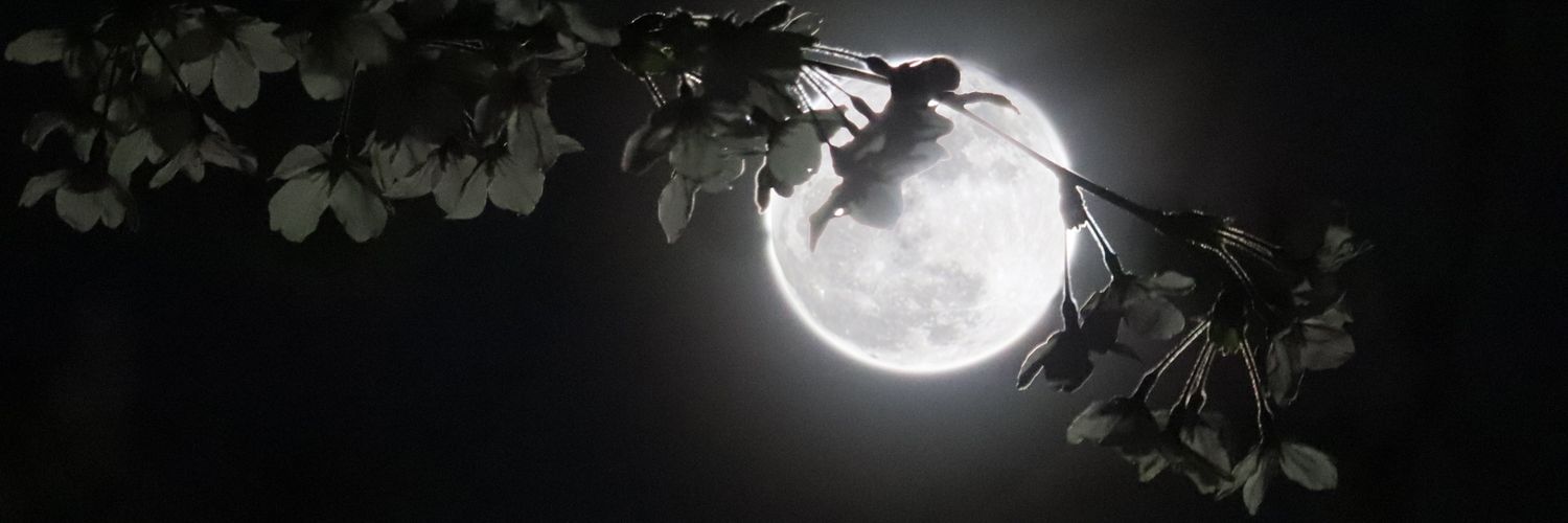 haru_paruchi's profile banner image