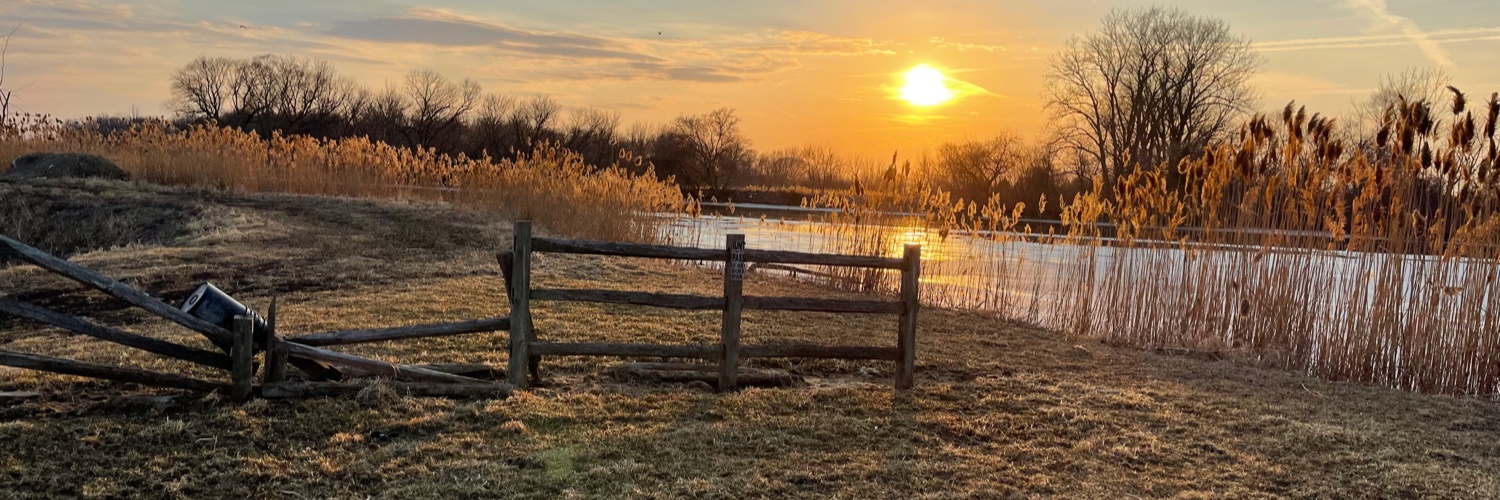 ARose4288's profile banner image