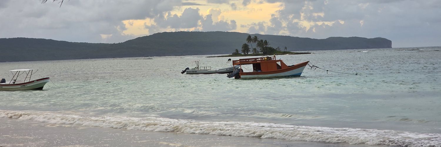 Javier Cabreja banner