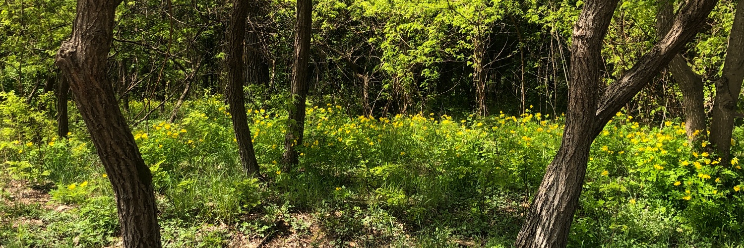 자오선✨반려동물스냅 banner