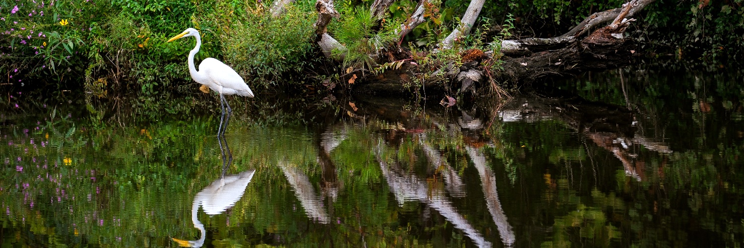 Chesterfield County Government, Virginia banner