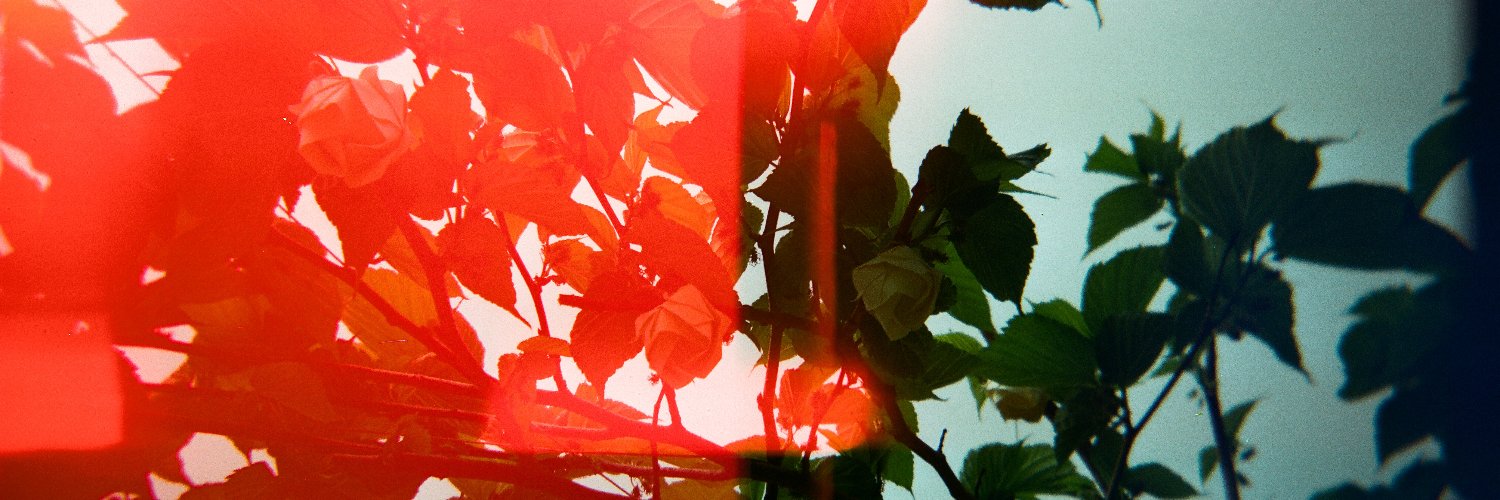 cpgandara_'s profile banner image
