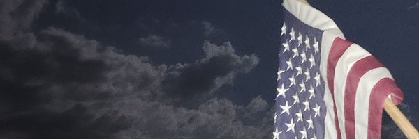 lisabswill Profile Banner