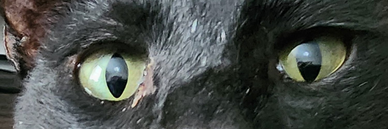 lauriannb67's profile banner image