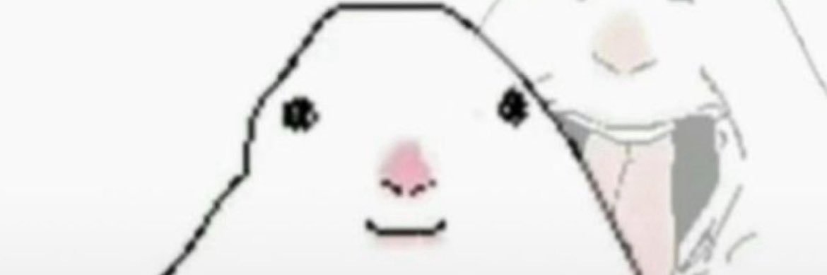 ally banner