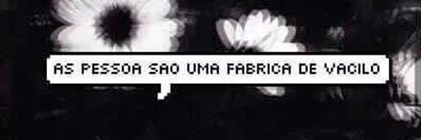 nataliafeitosaa's profile banner image