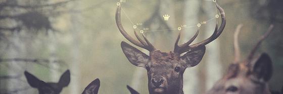 Kevin_Echelon's profile banner image