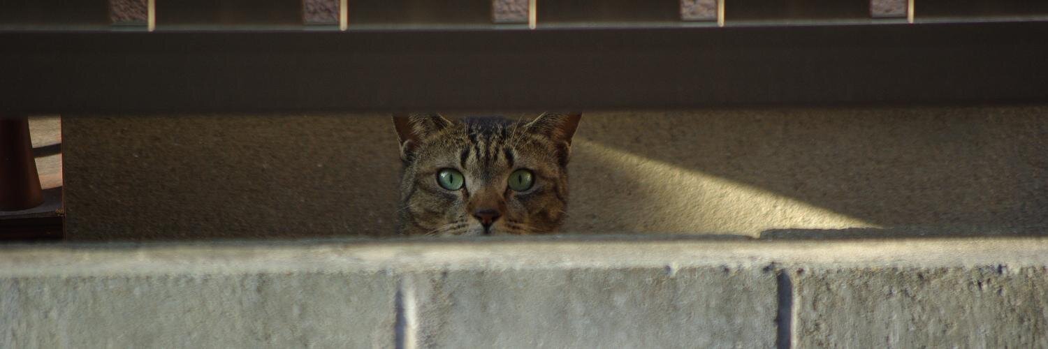 Marble-Lab ☮ 🌈 🐾 banner