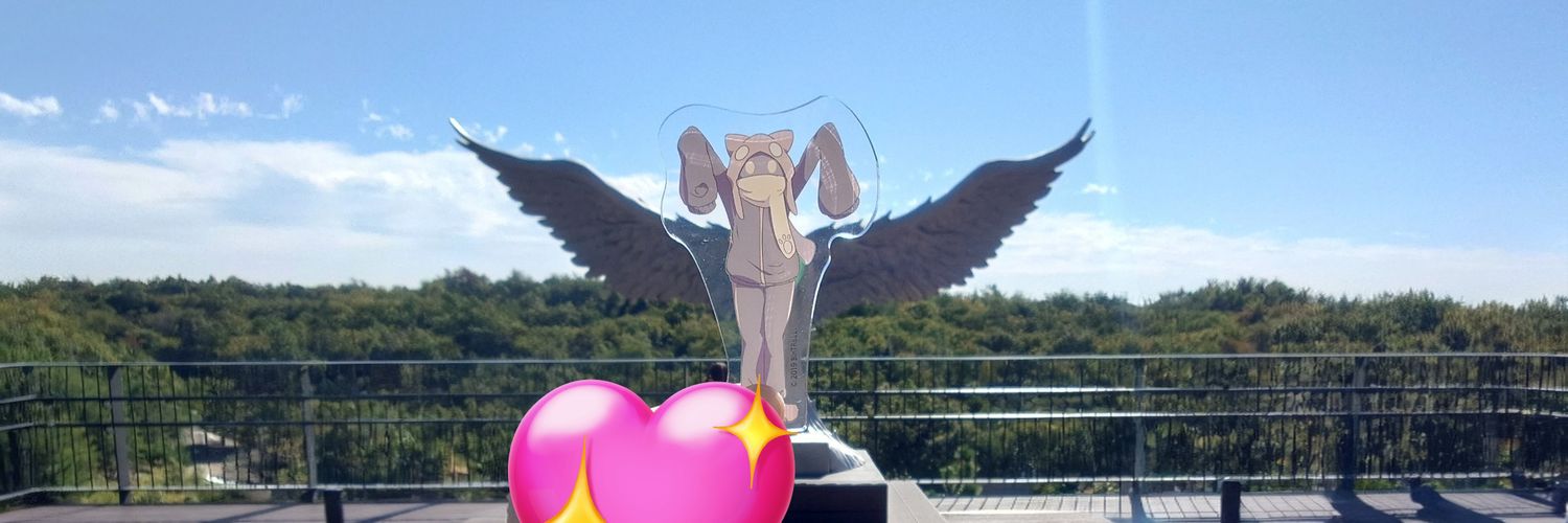 空猫🐈🐶 banner