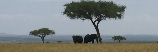 Wanscher Profile Banner