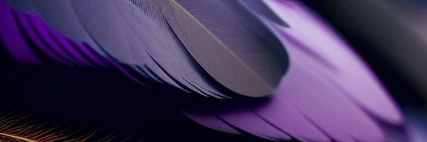 npf_4 Profile Banner