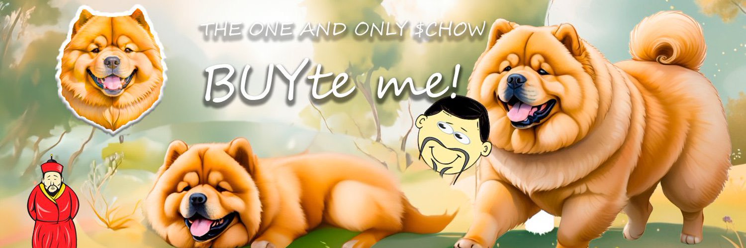 chowdogonsol's profile banner image