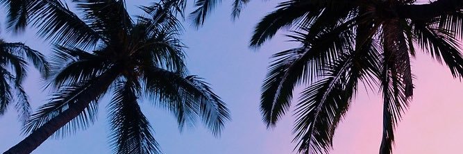 luisocchiello's profile banner image