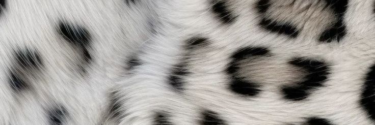 MtBibiss's profile banner image