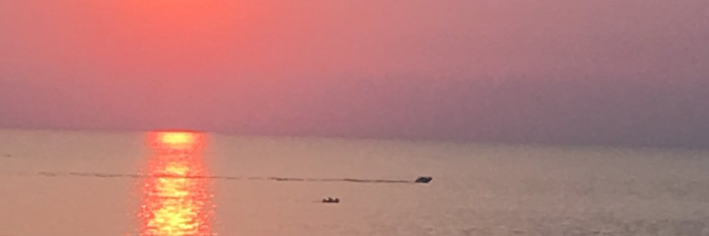 Alastair Jones banner