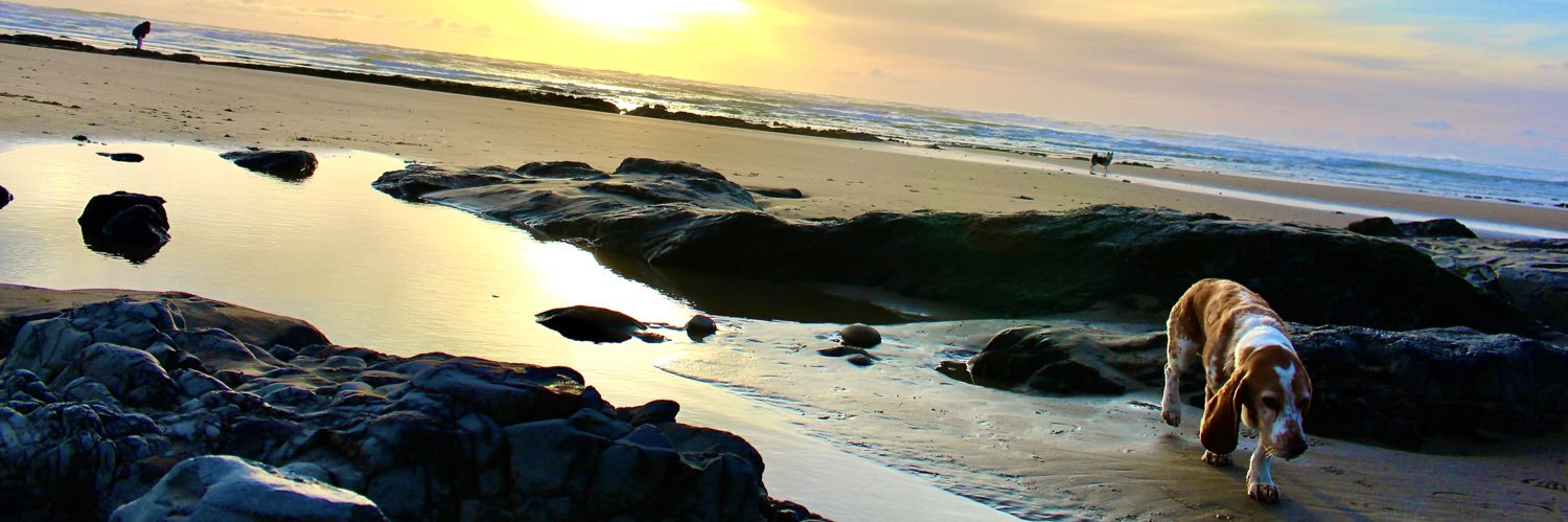JenPolack's profile banner image