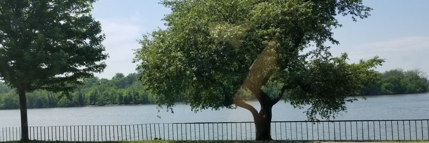 mignonned's profile banner image