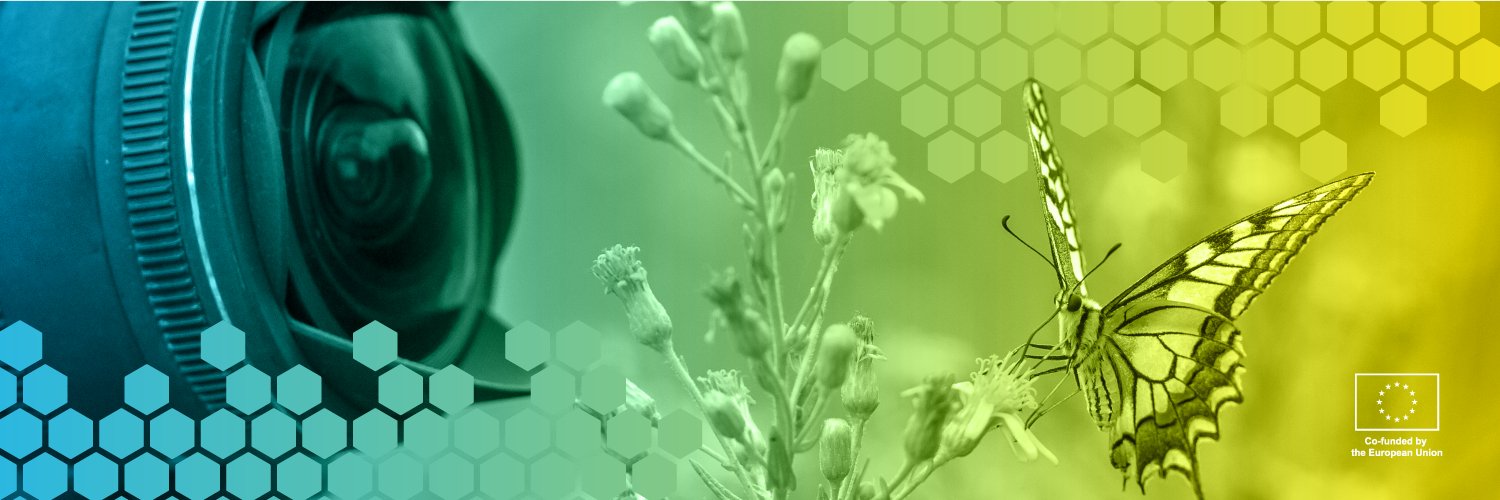 ANTENNA_project's profile banner image