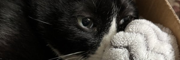 moo_boro Profile Banner