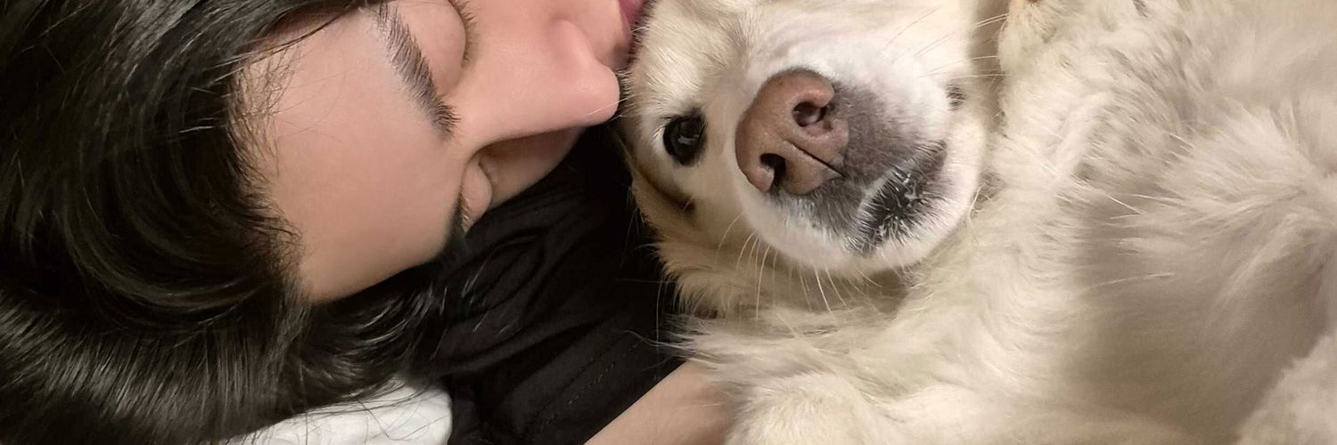 shi ^᪲᪲᪲ vv ia banner