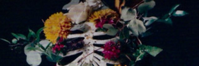 Summer Halford banner