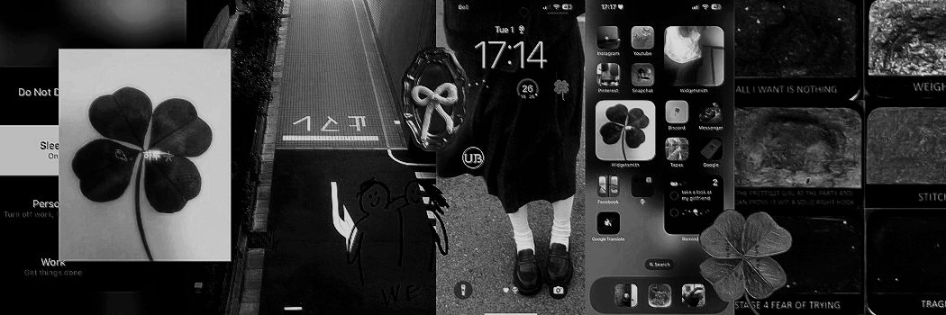 lin ✴︎⋆.˚ banner