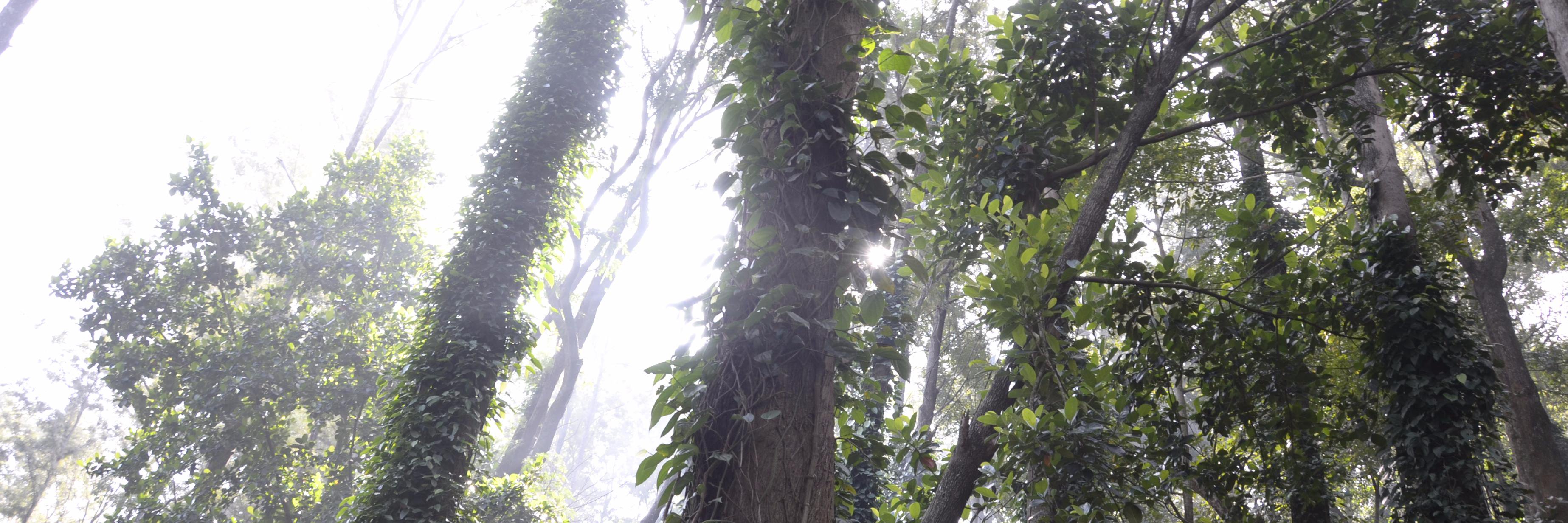 munadilip's profile banner image