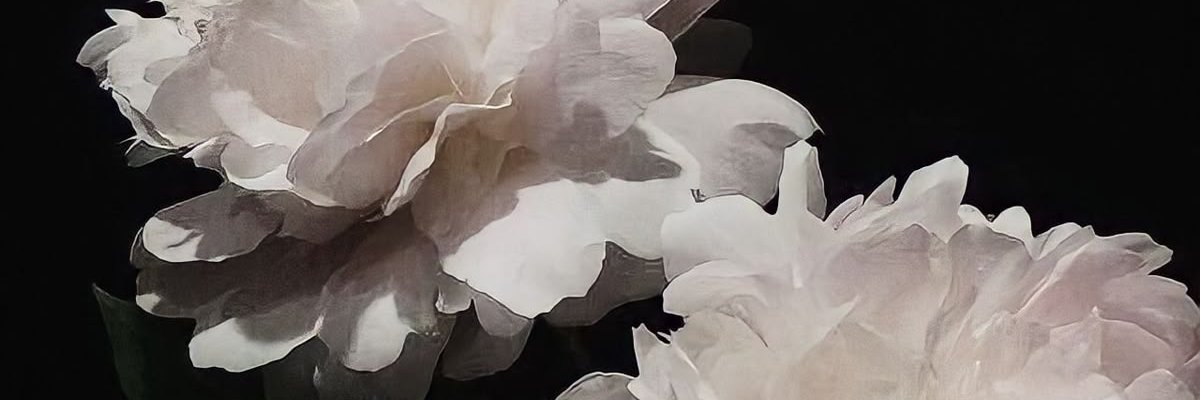 lau ★ jason’s gf banner