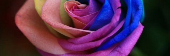 oneandonely's profile banner image