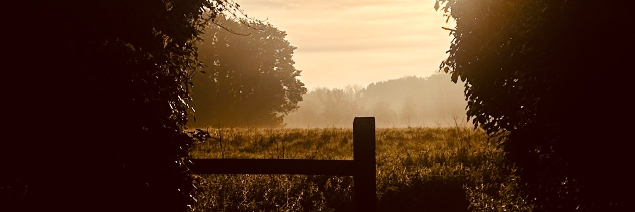 jonogill's profile banner image