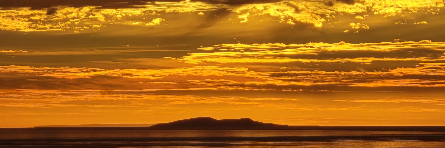 BlueMantis🇺🇸✈️ banner