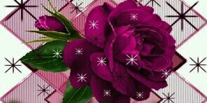 Alwalhan009's profile banner image