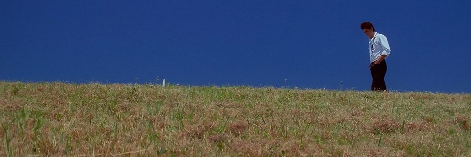 P.'s banner
