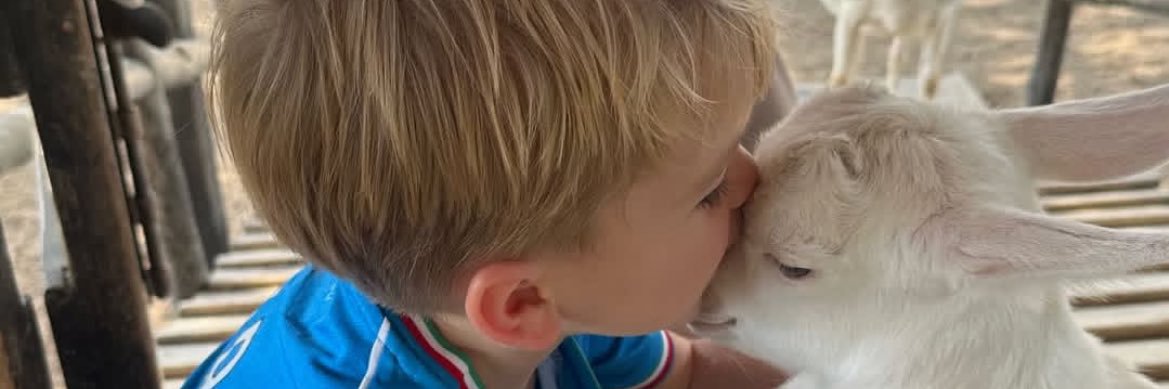 anladınsenonu banner