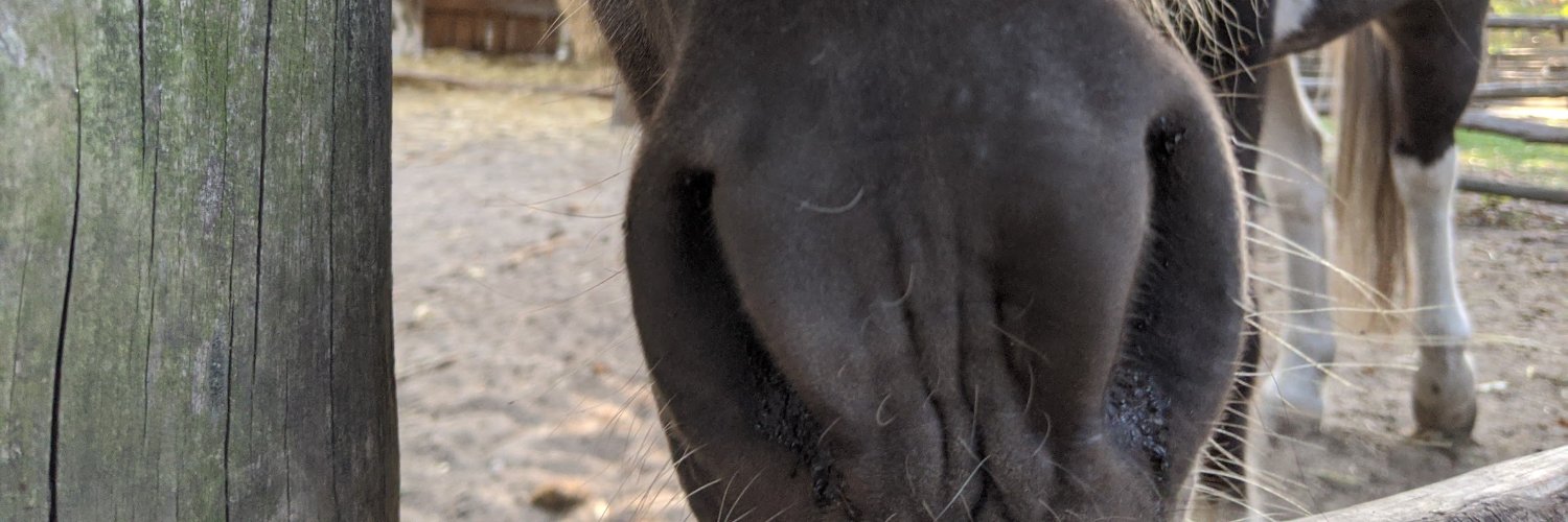 Simon Schubert banner