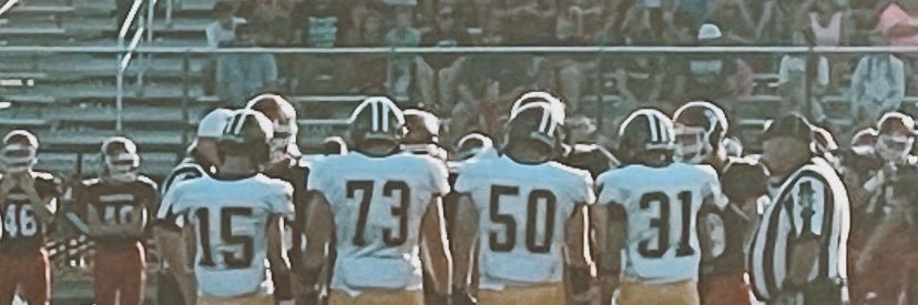 Teagun Rominger banner