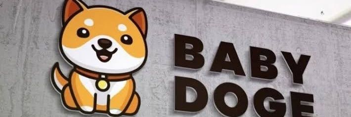 Baby Doge Fan's banner