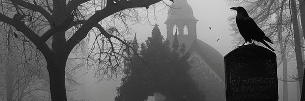 Privlulu banner
